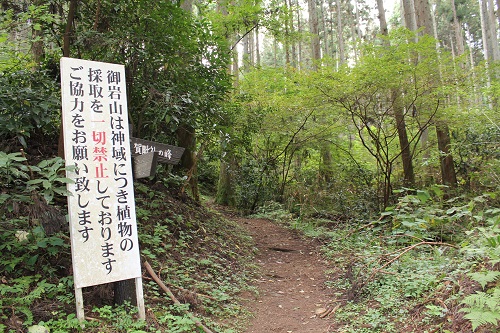 御岩神社登山道入り口